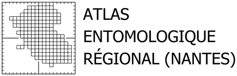 AER
