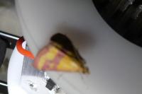 Pyrausta virginalis
