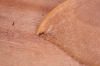 Watsonalla uncinula