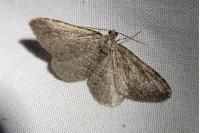 Cataclysme riguata
