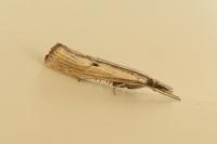 Agriphila inquinatella