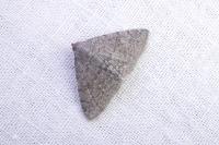 Metachrostis dardouini
