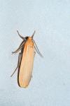 Katha depressa