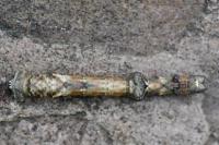 Hypomecis roboraria