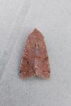 Orthosia incerta