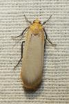 Katha depressa