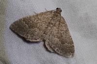 Cataclysme riguata