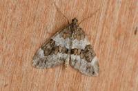 Thera britannica