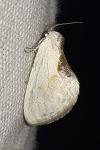 Cilix