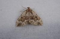 Thera britannica