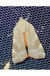 Noctua fimbriata/tirrenica