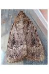 Amphipyra pyramidea