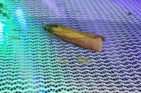 Oncocera semirubella