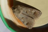 Ammoconia caecimacula