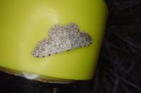 Scopula submutata roseonitens