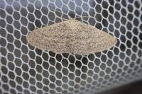 Scopula minorata