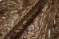Thera britannica