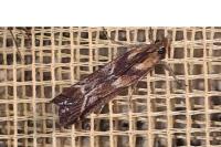 Ancylosis cinnamomella