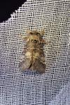 Drymonia ruficornis