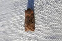Orthosia gothica