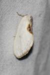 Cilix
