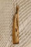 Agriphila inquinatella