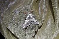 Biston strataria