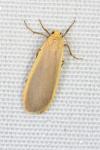 Katha depressa