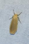 Katha depressa