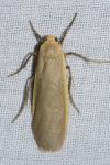 Katha depressa