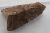 Orthosia incerta