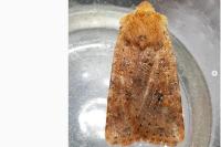 Conistra rubiginea