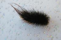 Arctia caja