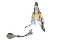 Phycitodes inquinatella