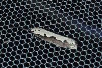 Ethmia bipunctella