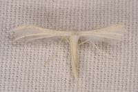 Pterophorus pentadactylus