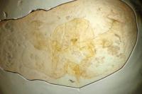 Cochylimorpha straminea
