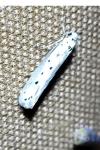 Ethmia terminella