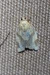 Clepsis consimilana