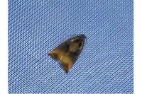 Archips podana