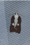 Acleris cristana
