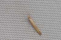 Coleophora ochrea
