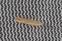 Batrachedra parvulipunctella