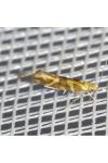 Argyresthia goedartella