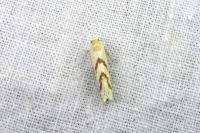 Aethes flagellana