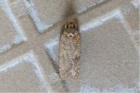 Exaeretia lutosella