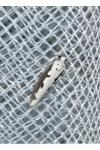 Ethmia bipunctella