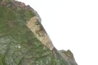 Phyllonorycter spinicolella