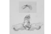 Acleris umbrana