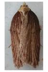 Acleris hastiana
